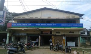 Assam Gramin Vikash Bank FD Interest Rates